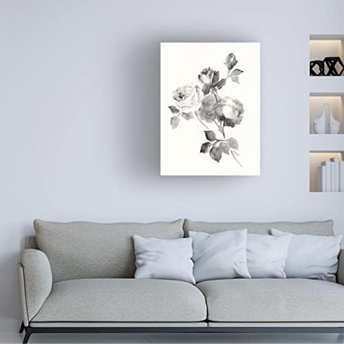 אמנות סימן מסחרי 'פרחי ורדים אפור' אמנות קנבס מאת תיק תפוחים פראי