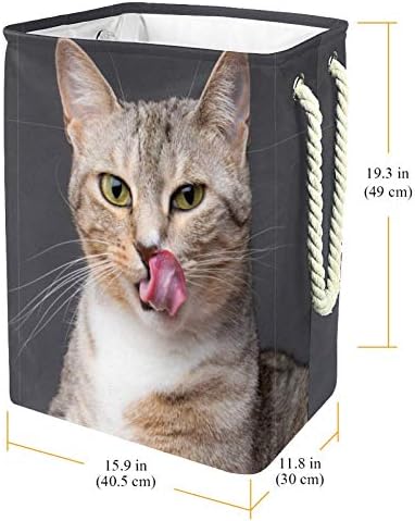 חתול מצמוצי שפתיה לשון החוצה 300 ד אוקספורד עמיד למים בגדי סל גדול כביסה סל עבור שמיכות בגדי צעצועים