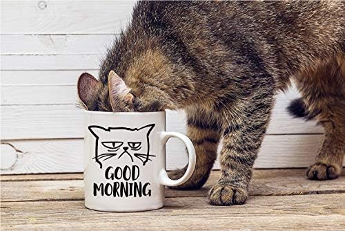 בוקר טוב מצחיק ממורמר חתול ספל - חמוד ייחודי חתול אמא מתנות לימי הולדת הווה עבור חתול מאהב כוס עבור
