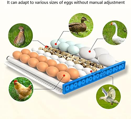 זאפיון ביצת חממת לבקיעת ביצים 360 תואר להציג 360 דיגיטלי שהופץ אוויר חממת עופות עבור תרנגולות ברווזים