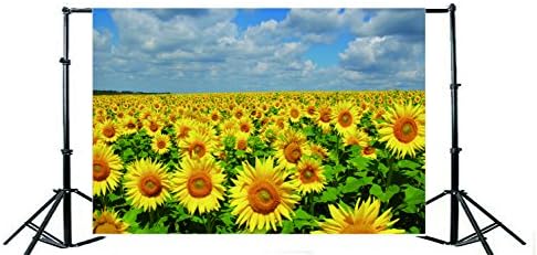 5 * 3 רגל אביב חמניות רקע טבעי צהוב פרחי שדה כפרי ראנץ רקע לחתונה אידילי כפרי אדמות חקלאיות צילום רקע