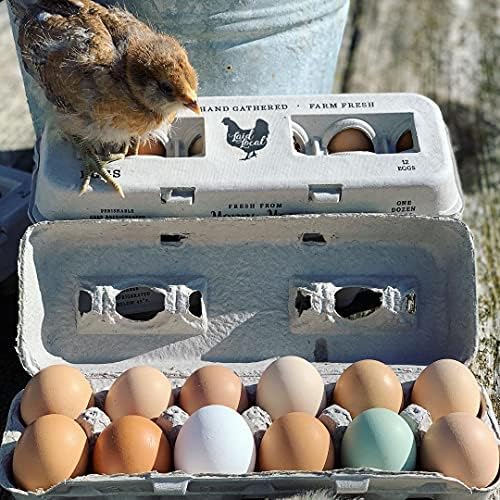 250 קרטוני ביצים-צרור ערך בתפזורת - עיצוב מודפס מקסים לביצים טריות בחווה, קרטון נייר ממוחזר, יציב וניתן