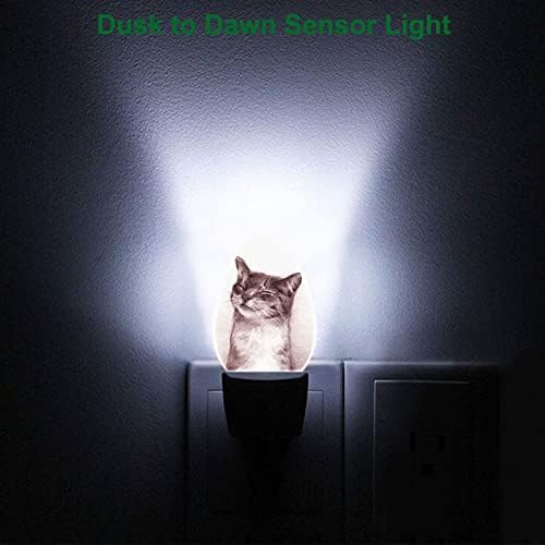 סווונו יד מצוירת מנורת לילה של חתול צוחק עם חיישני אור חתלתול חמוד חיוך מתוק אור לילה אוטומטי כבוי 0.5